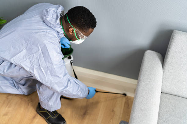 Best Residential Pest Control  in Manhattan, KS